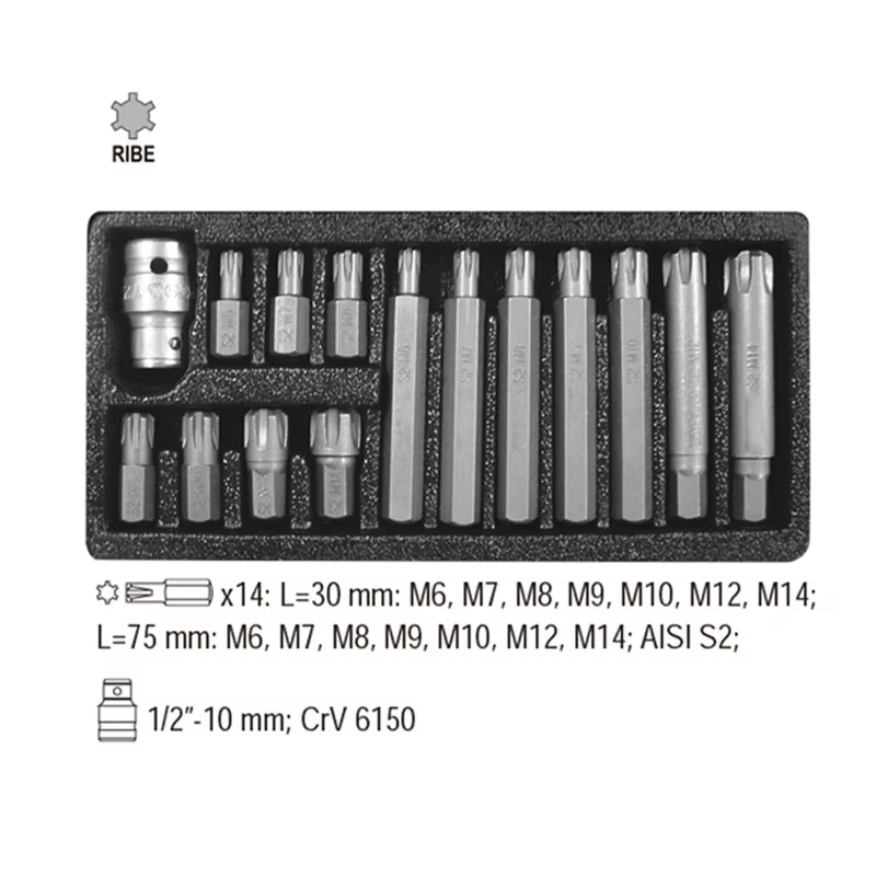 Tournevis à percussion à tige 10mm, jeu d'embouts Ribe 30mm et 75mm Polydrive M6 - M14 avec adaptate