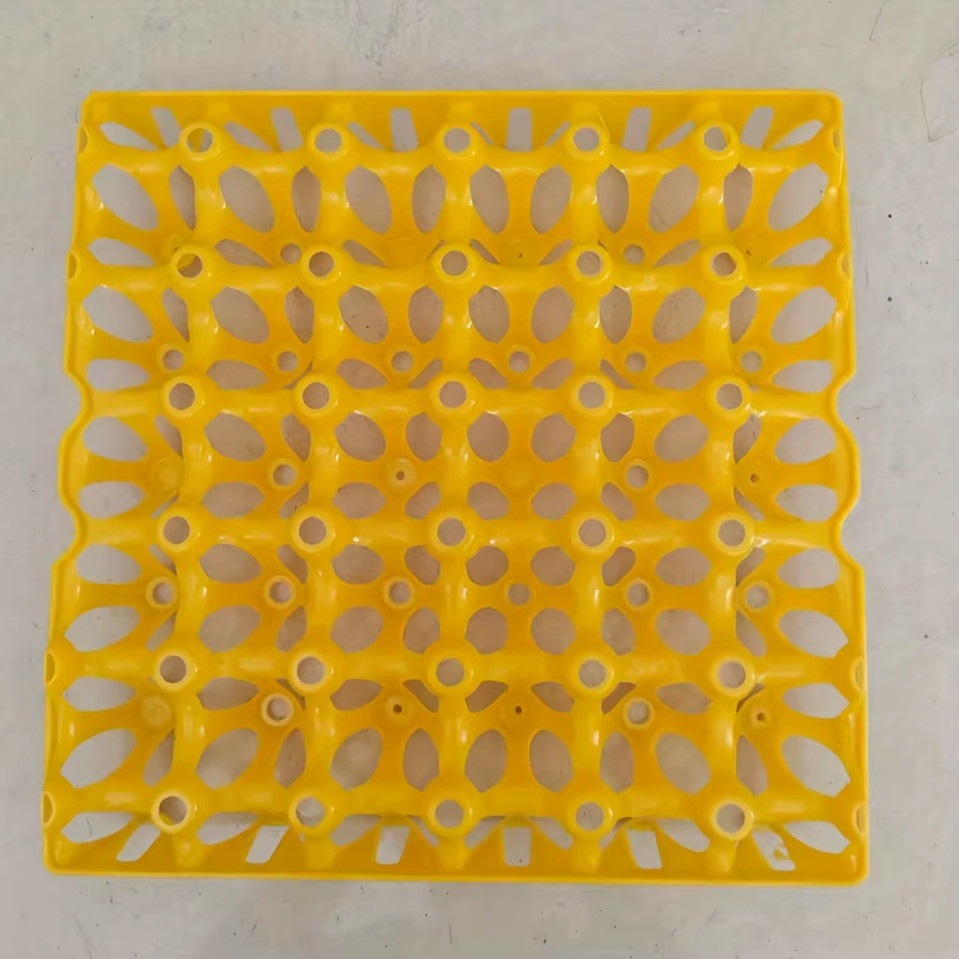 Boîtes à œufs en vrac (2/4 pièces), plateaux à œufs en plastique, boîtes à œufs en plastique pour le