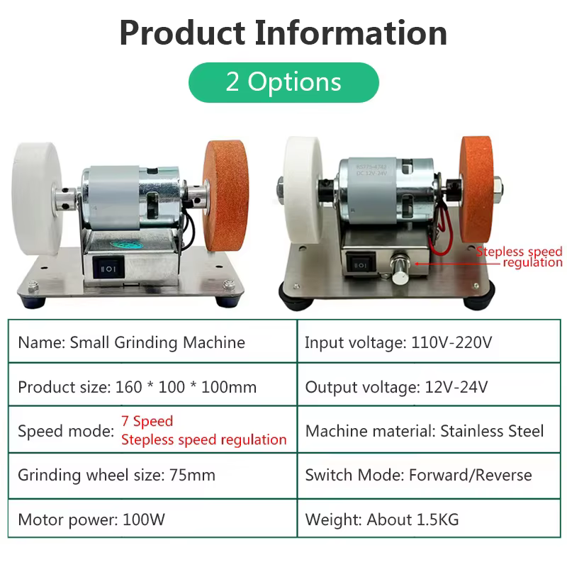 100W Double meuleuse Machine artefact Table meuleuse moteur Micro gros et fin polissage électrique m