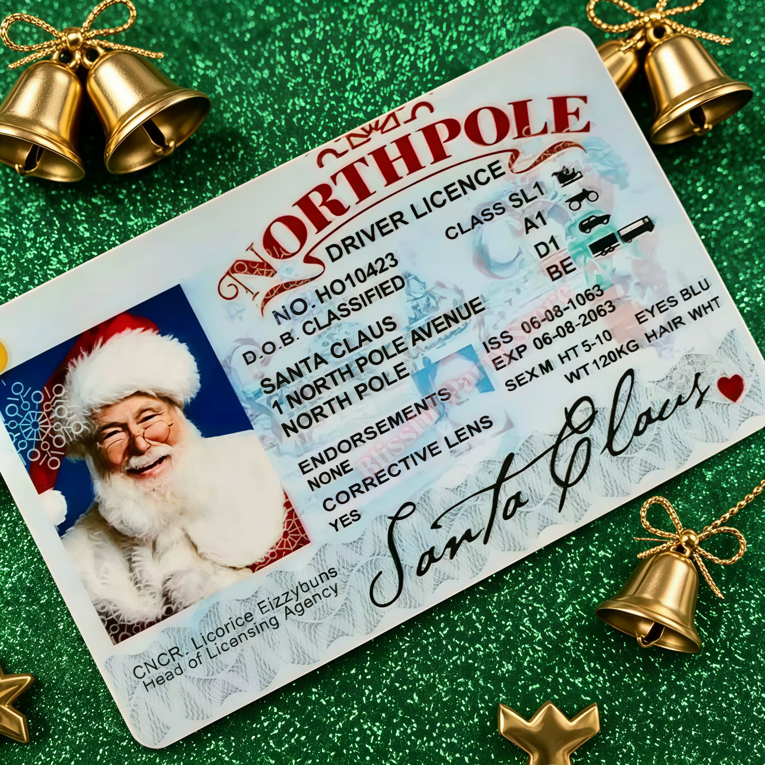 Carte d'identité créative Père Noël au Pôle Nord, permis de conduire de Noël, souvenir amusant, cade