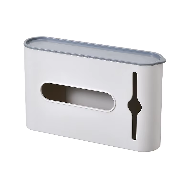 Boîte de rangement de sacs poubelles, distributeur mural de sacs poubelles en plastique, support de 
