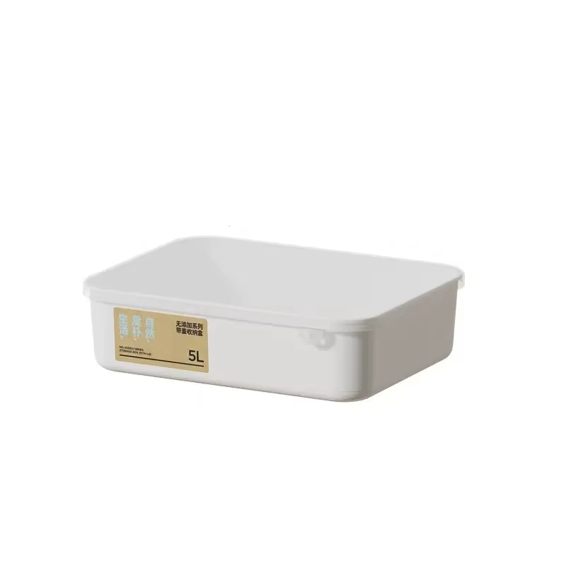 Boîte de rangement multifonctionnelle pour la maison, avec couvercle, organisateur de sous-vêtements