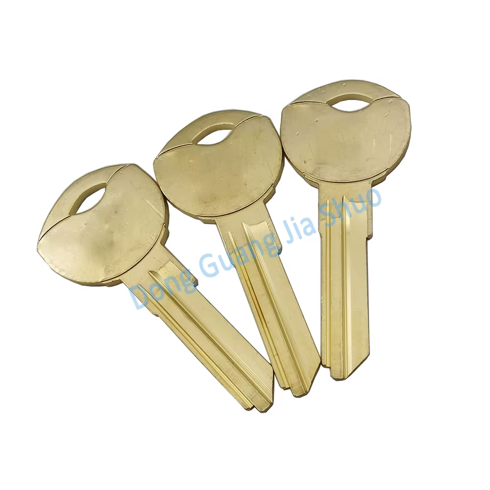 JS 2317 clé spéciale multi-fentes de forme spéciale clé allemande vierge