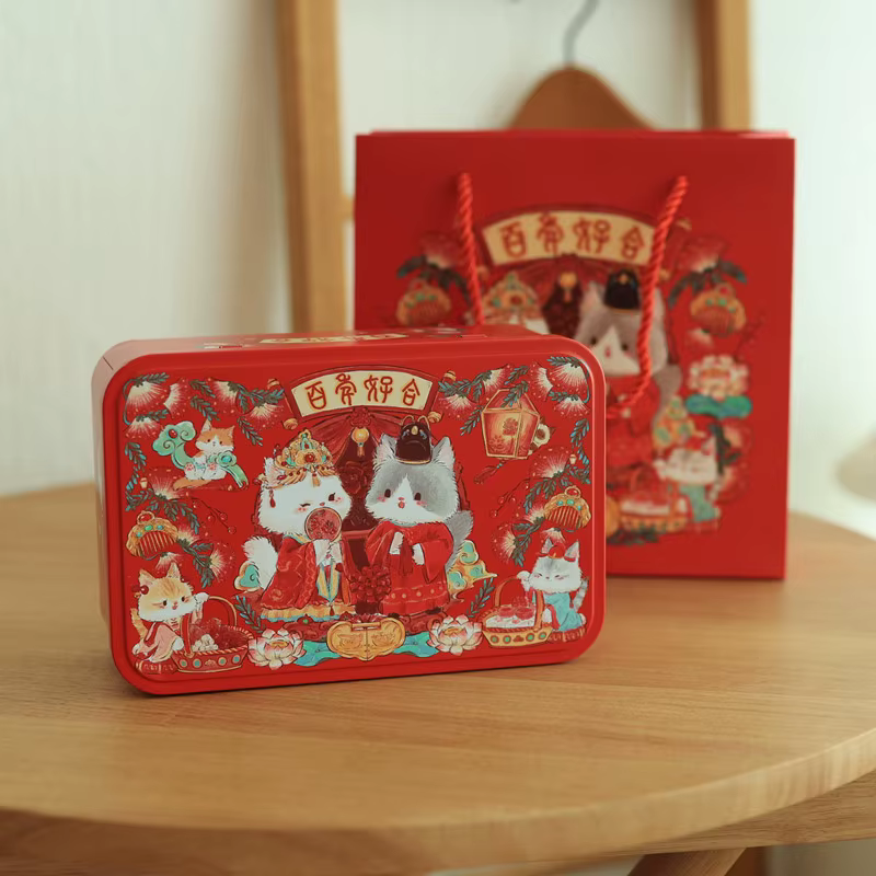 Grande boîte rectangulaire en fer blanc pour biscuits et oiseaux, avec couvercle, en métal, pour bon