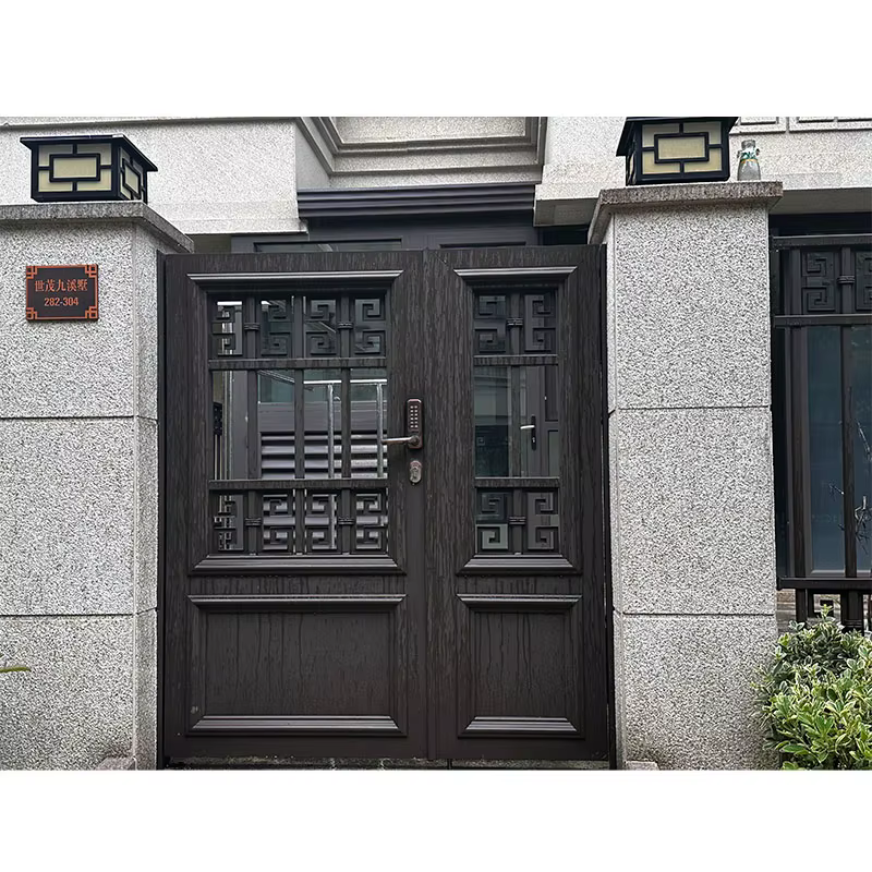 Porte de cour en fer forgé de haute qualité, design moderne, cadre en aluminium, porte de voie, clôt