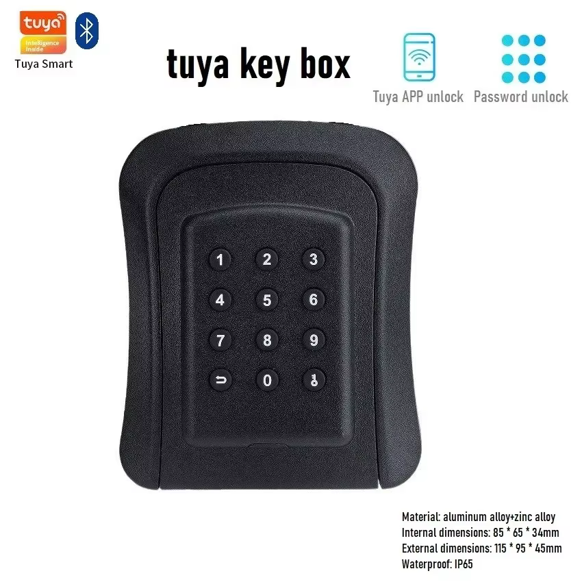 Tuya/TTlock – boîte à clés intelligente avec mot de passe, serrure de porte intelligente sans clé, é