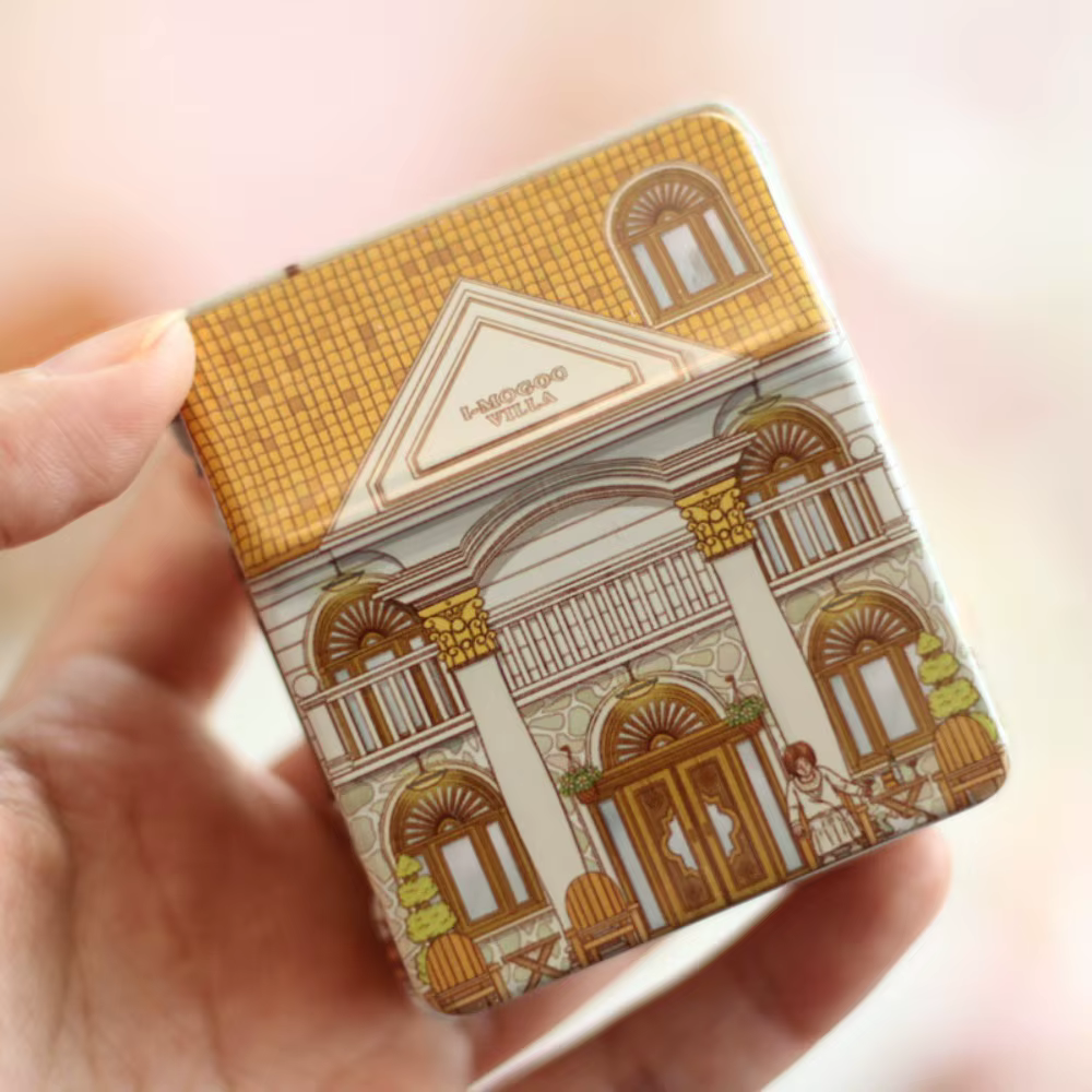 Boîte de rangement polyvalente en métal, mini organisateur de rangement en forme de maison, boîte ca