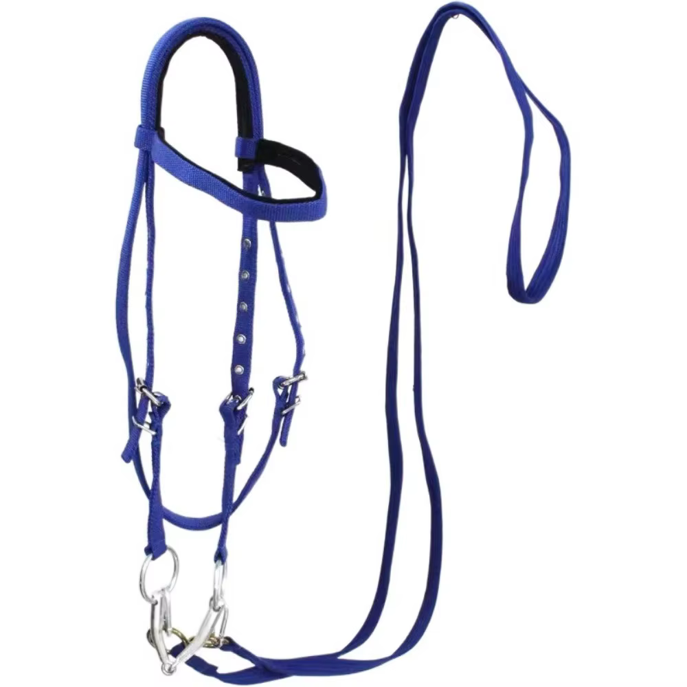 Licouets de cheval épais, sangle réglable et confortable, civière de cou de cheval, bandeau de bride
