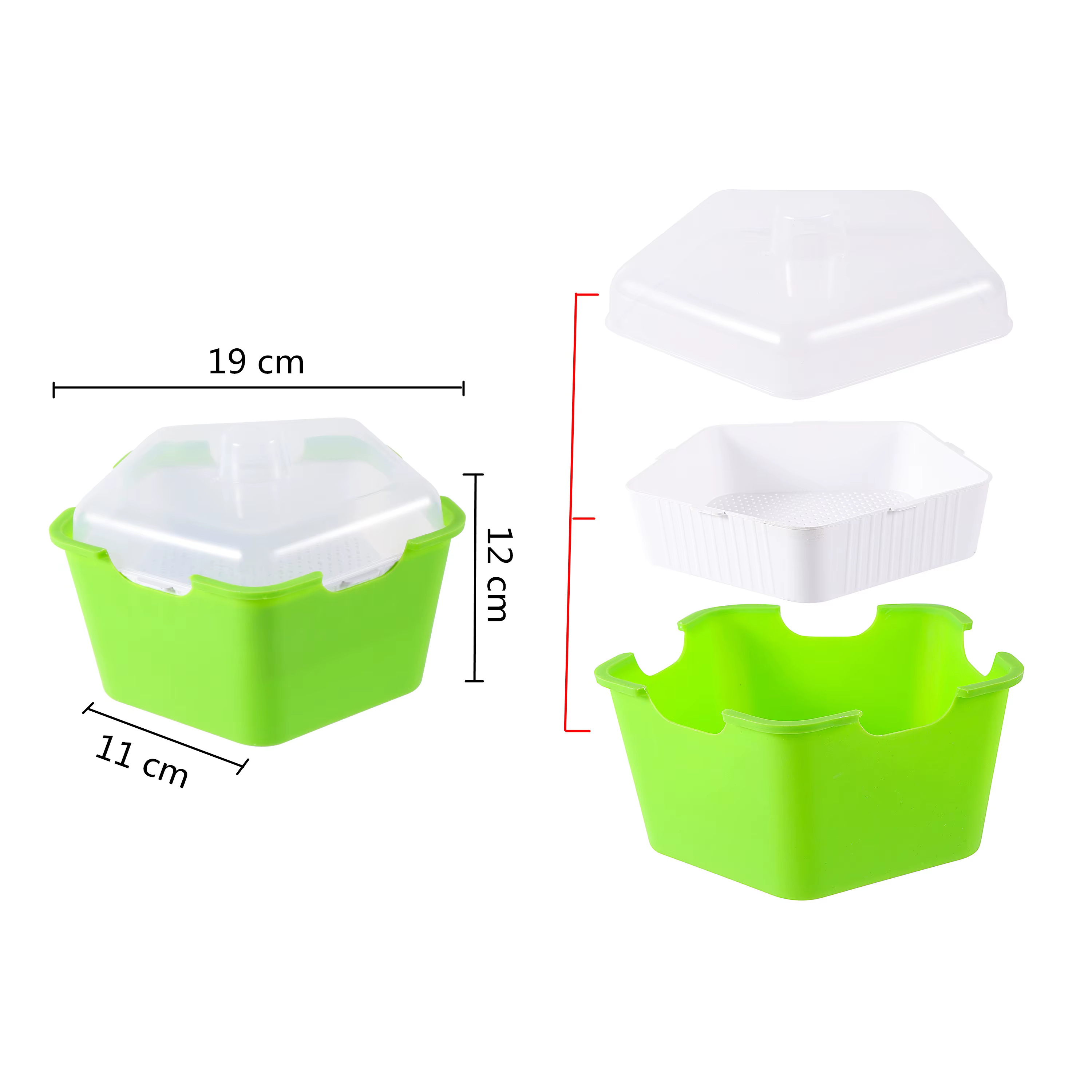 Pot de plantation de germes de haricot Lauren Box