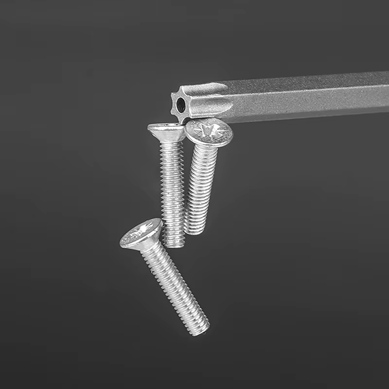 12 pièces embouts à tête Torx 50mm de Long