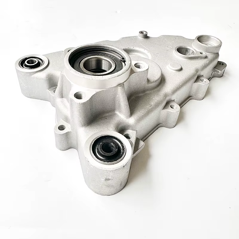 Couvercle de boîte de vitesses latérale de Transmission de moteur GY6 150cc 200cc