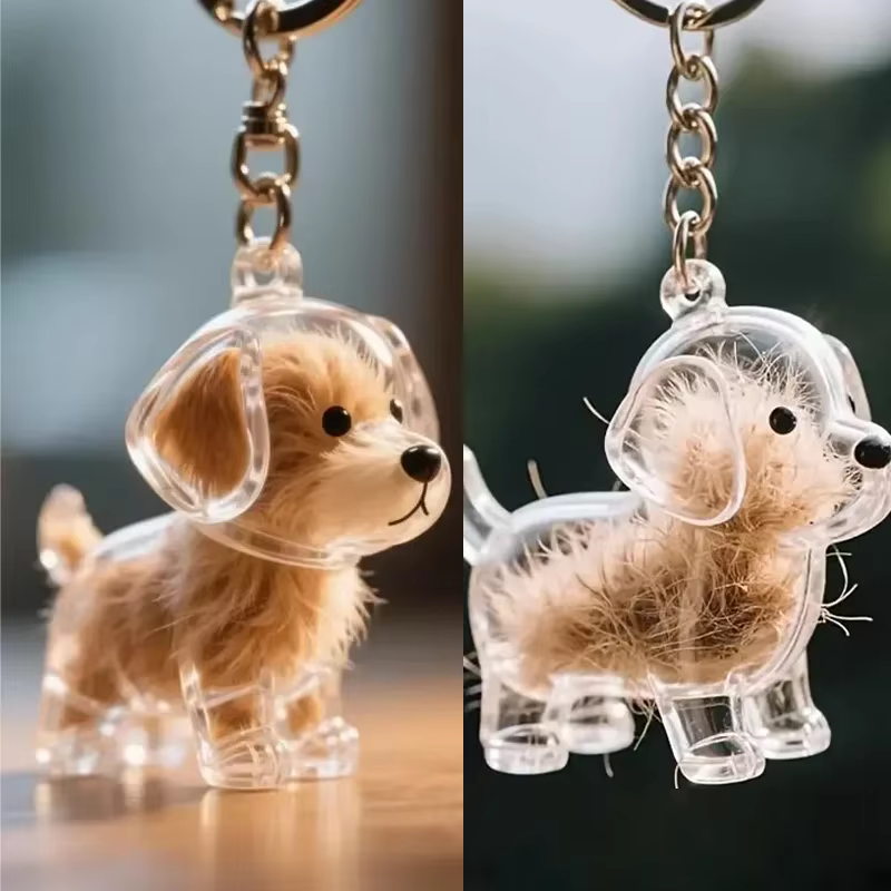 Boîte de rangement de poils de chien