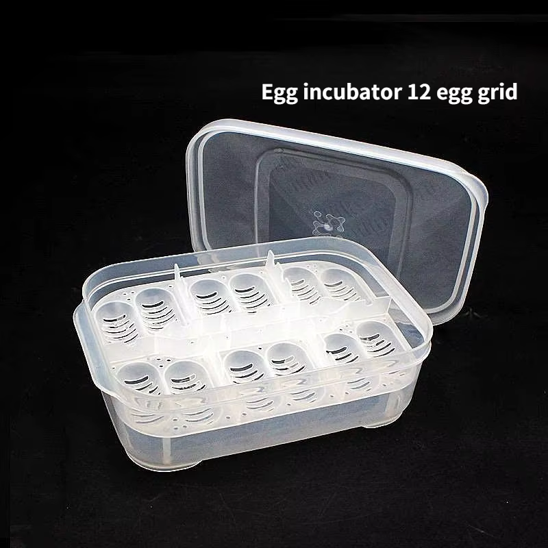 DIY Boîte d'incubation à 12 compartiments pour œufs de serpent