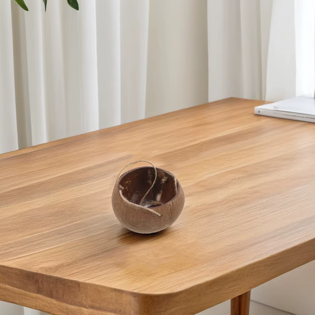 Jardinière suspendue en coquille de noix de coco, plantes d'intérieur, Pot de fleur de balcon, décoration de maison, multifonctionnelle, polyvalente, conception de corde robuste