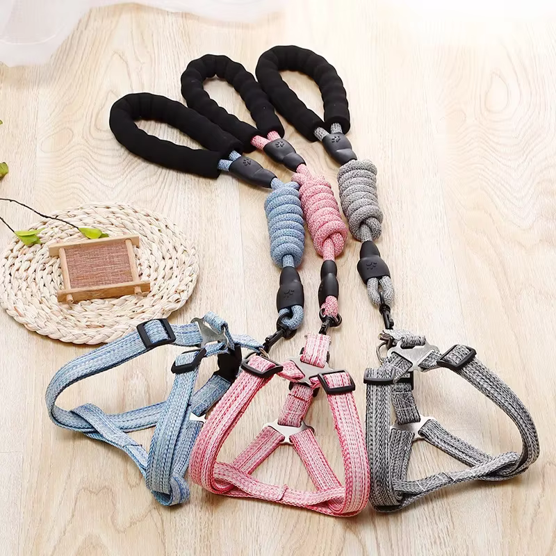 Harnais pour chien 1.2M ensemble de laisse pour petits chiens réglable chiot chat