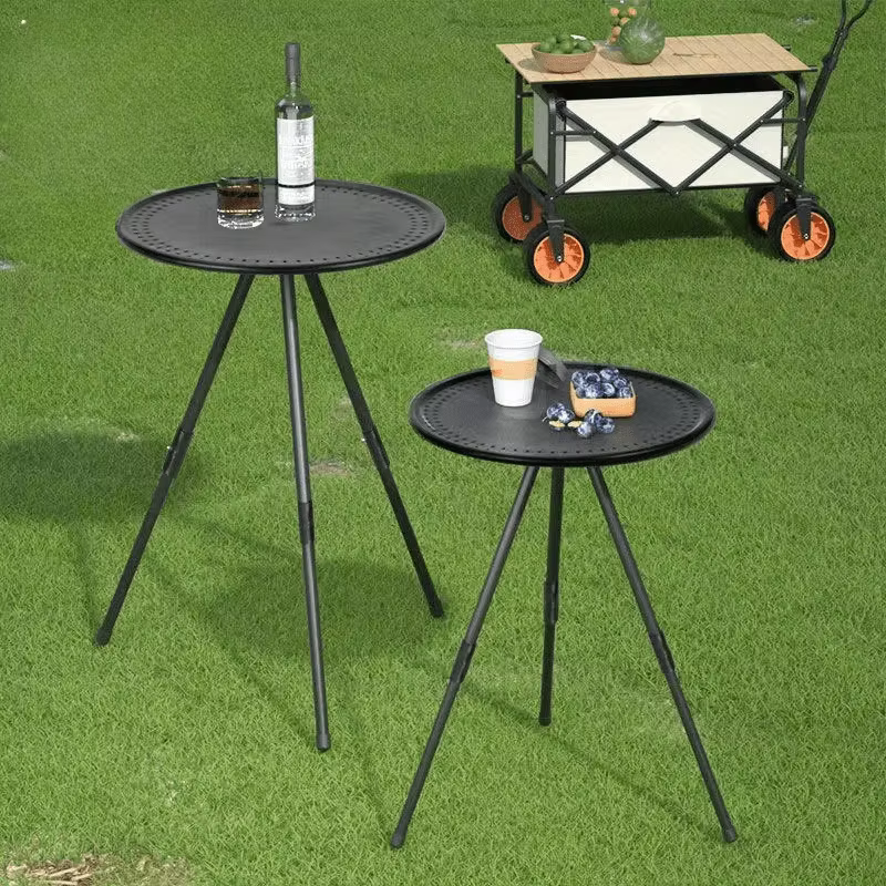 Table de pique-nique portable