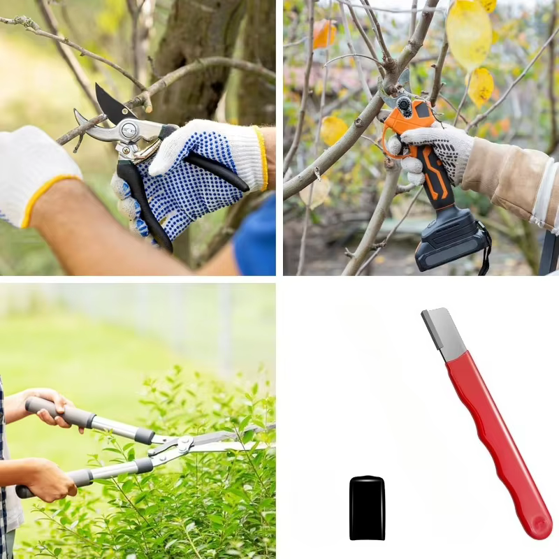 Affûteur d'outils de jardin