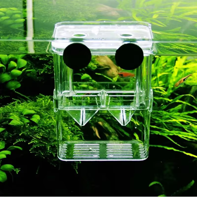 Boîte d'élevage de poissons d'aquarium