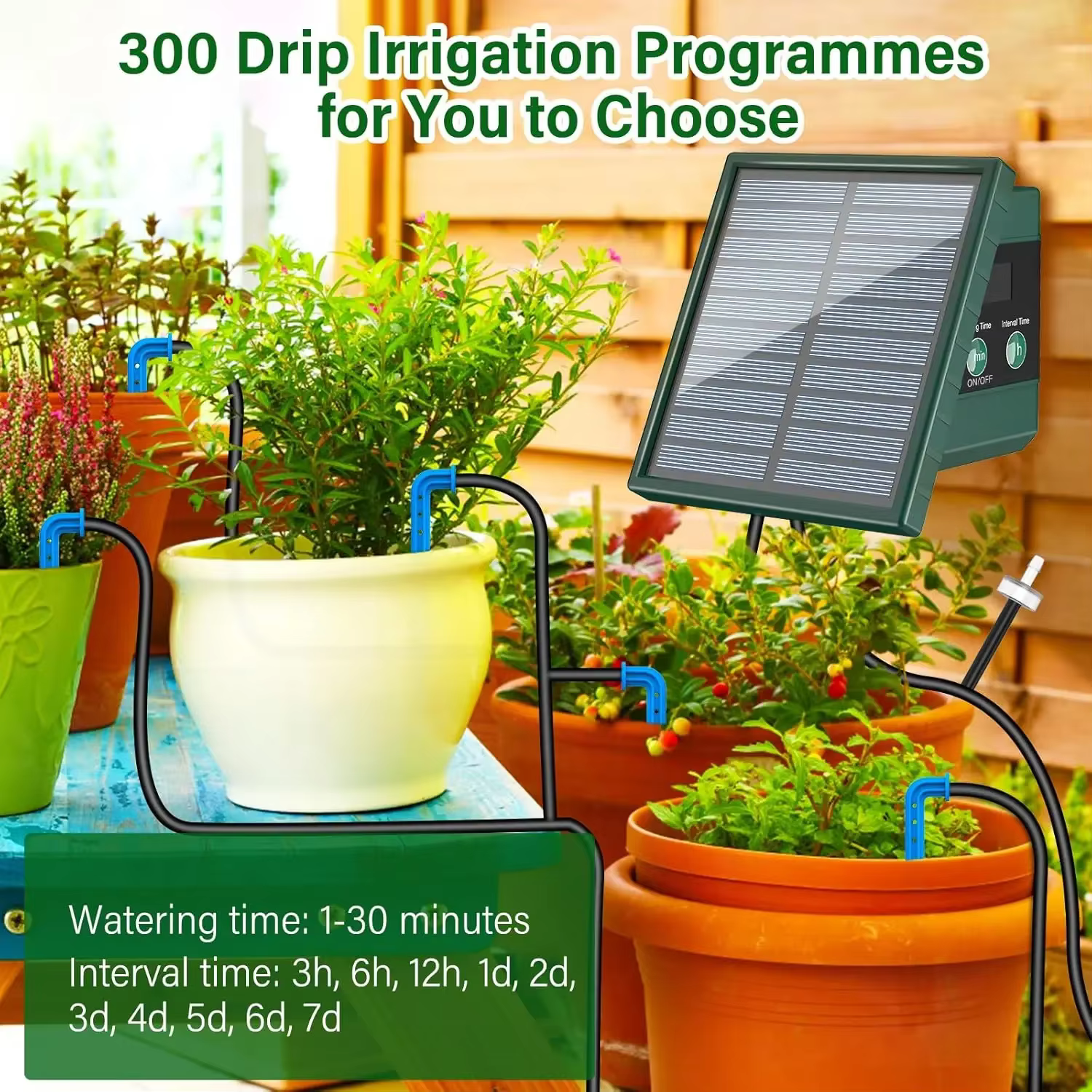 Système d'irrigation goutte-à-goutte solaire automatique