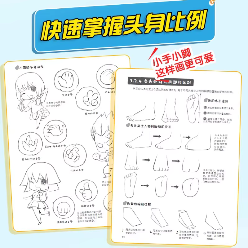 Livre de tutoriel de dessin d'anime : Guide de base pour la conception de personnages de manga