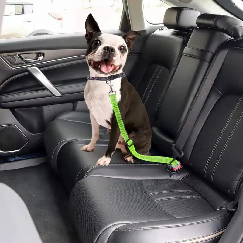 Ceinture de sécurité pour animaux de compagnie