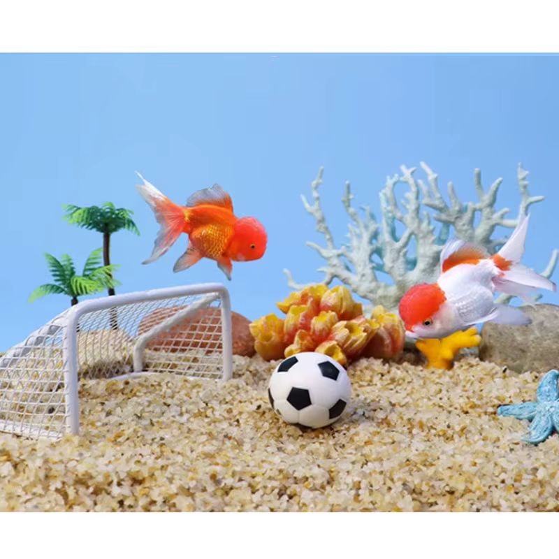 Poisson animal de compagnie football aquatique aquarium mini terrain