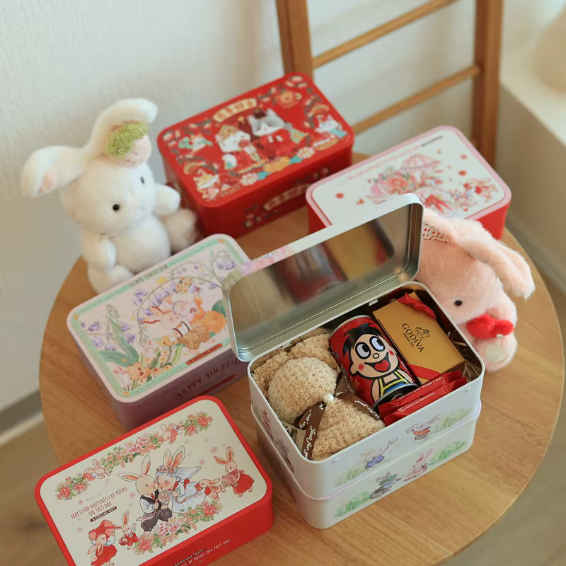 Grande boîte rectangulaire en fer blanc pour biscuits et oiseaux
