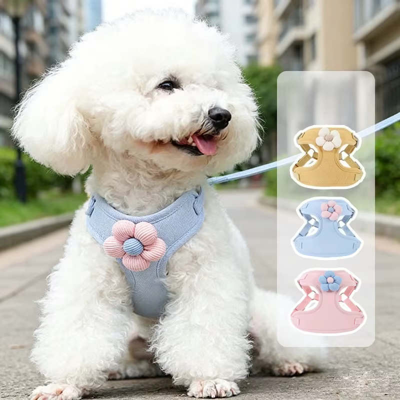 Harnais pour chien avec laisse de 1