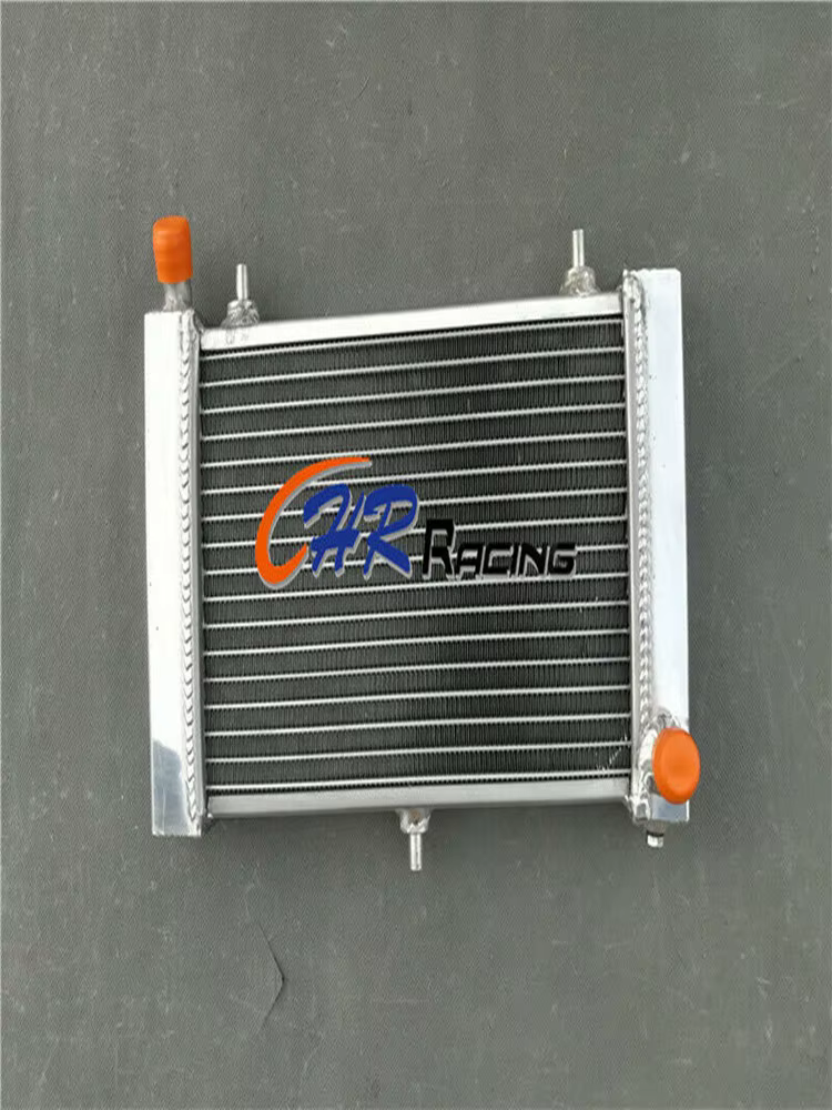 Religions en aluminium pour Aprilia RS