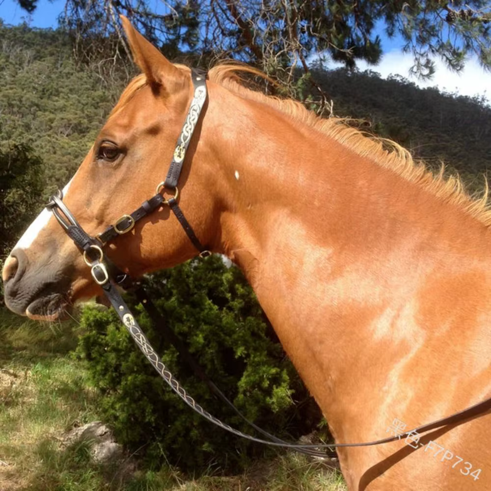 Bridon et Licol en Cuir PU avec Boucle Métallique pour Protéger la Peau du Cheval, Harnais de Conduite Confortable et Réglable pour Cheval