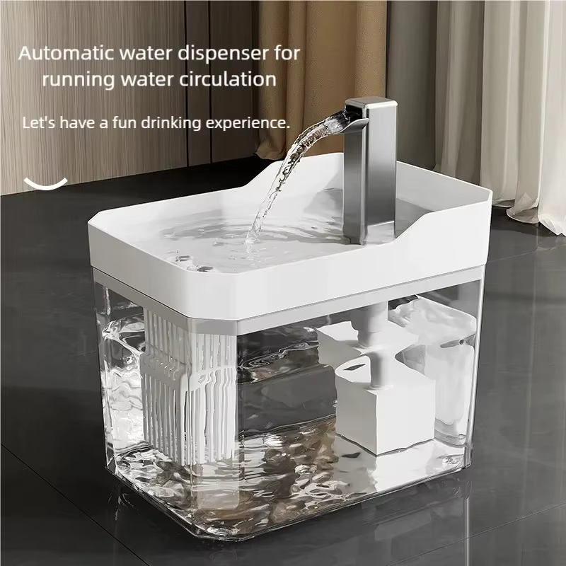Fontaine à eau transparente pour chat à recirculation automatique