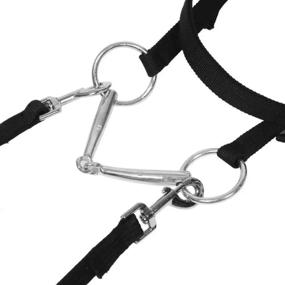 Licouets de cheval épais, sangle réglable et confortable, bandeau de mariée, harnais de cheval, civière de cou de cheval Durable, équipement de cheval