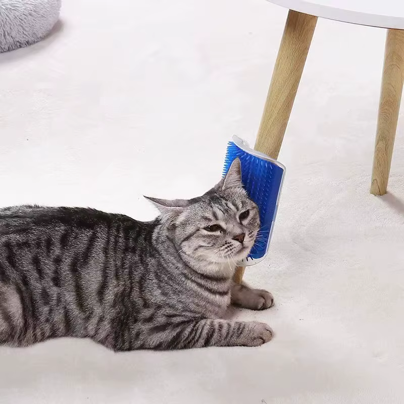Outil de massage pour chat