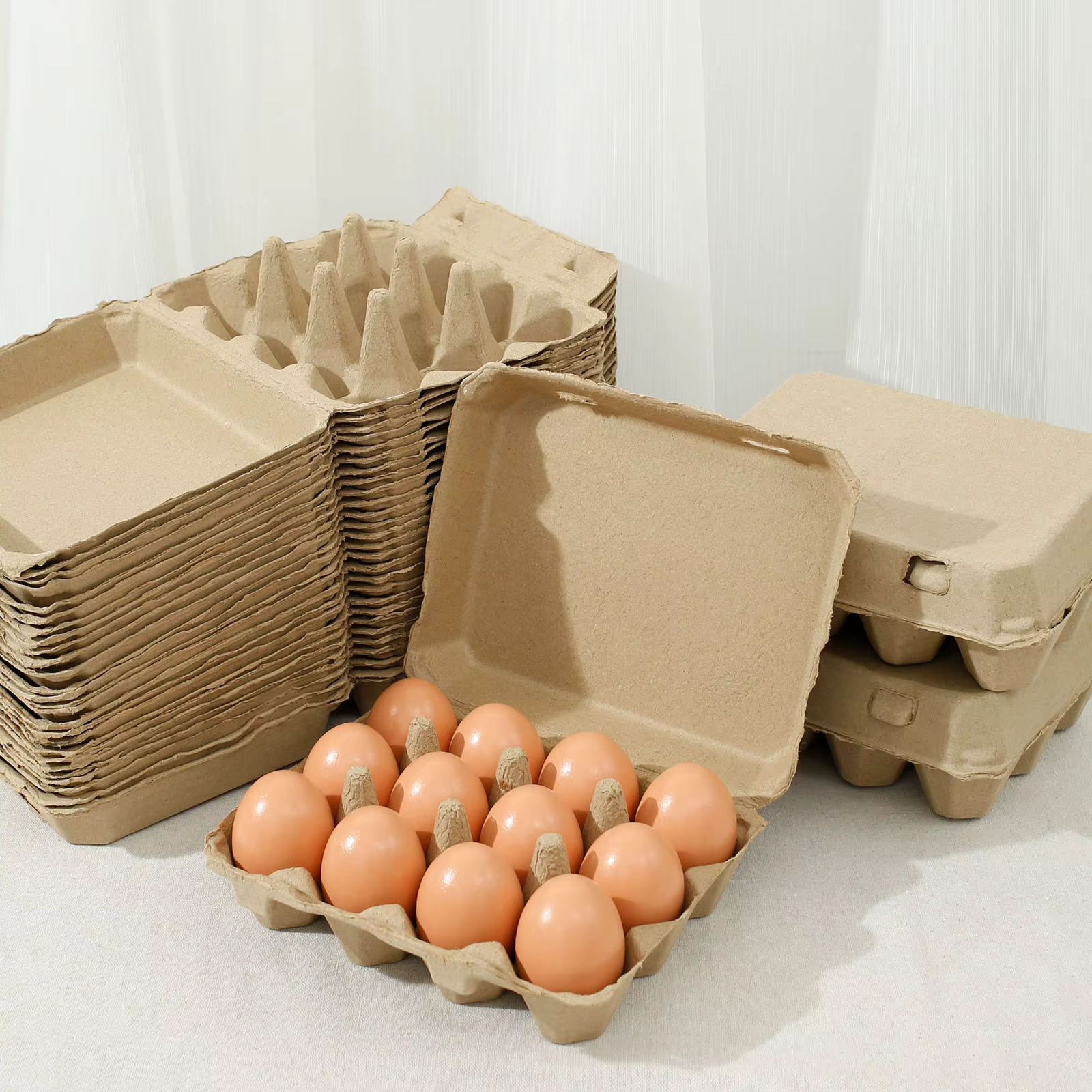Boîte de rangement d'œufs 20/30 pièces