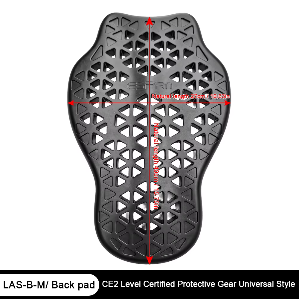 Armure de Protection arrière pour moto
