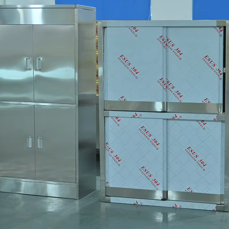 Équipement de laboratoire scientifique personnalisé, armoire de rangement en acier inoxydable, armoire de laboratoire de style américain/européen pour les écoles et les hôpitaux