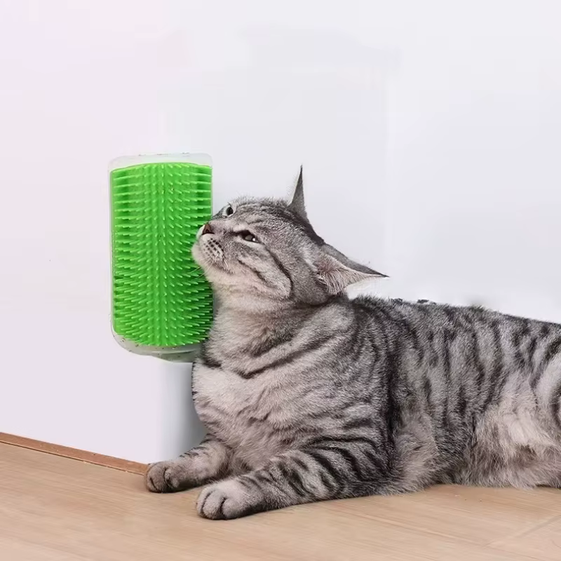 Outil de massage pour chat