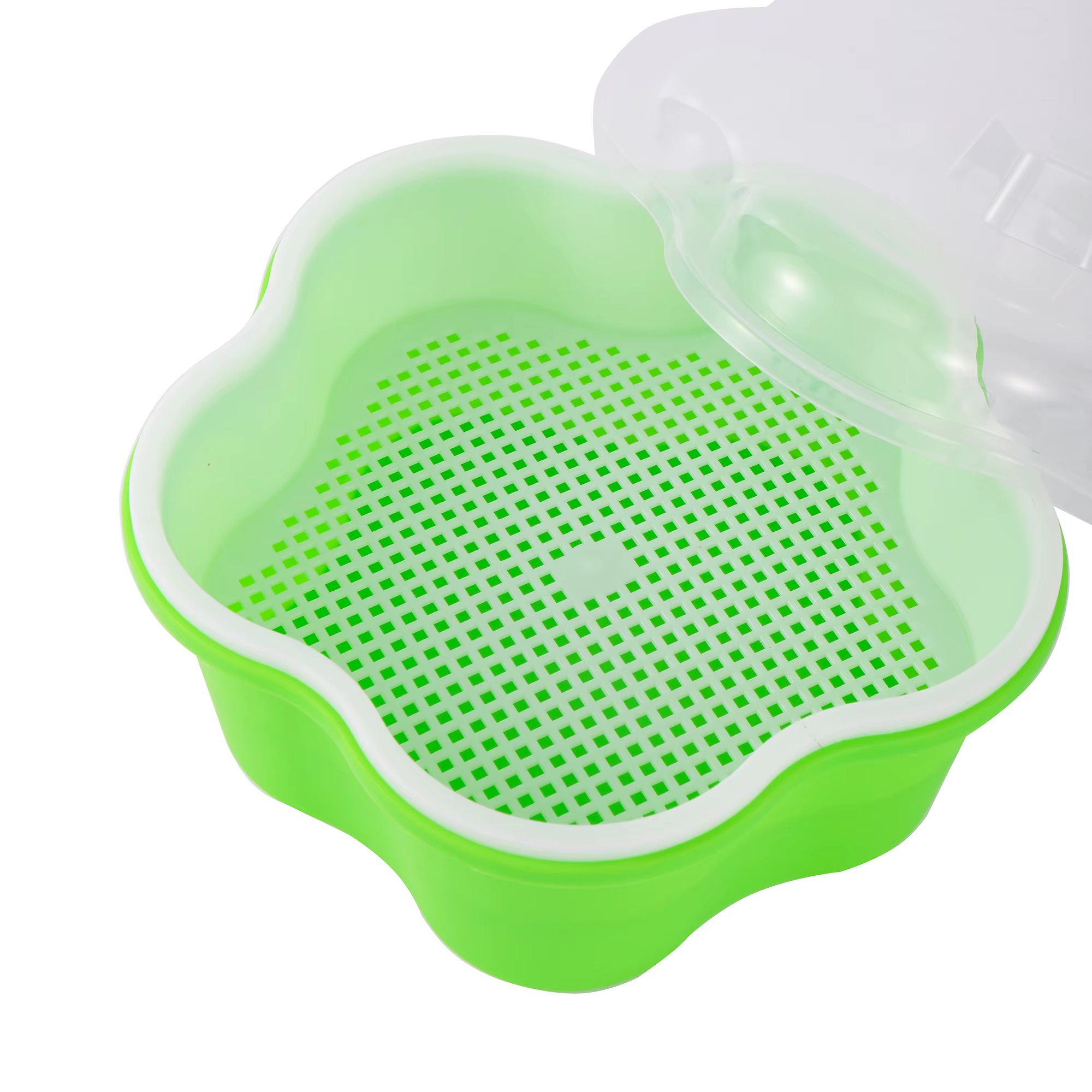 Pot de plantation de germes de haricot Lauren Box