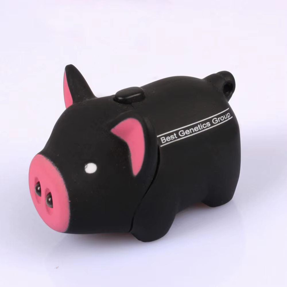 Porte-clés Style cochon mignon