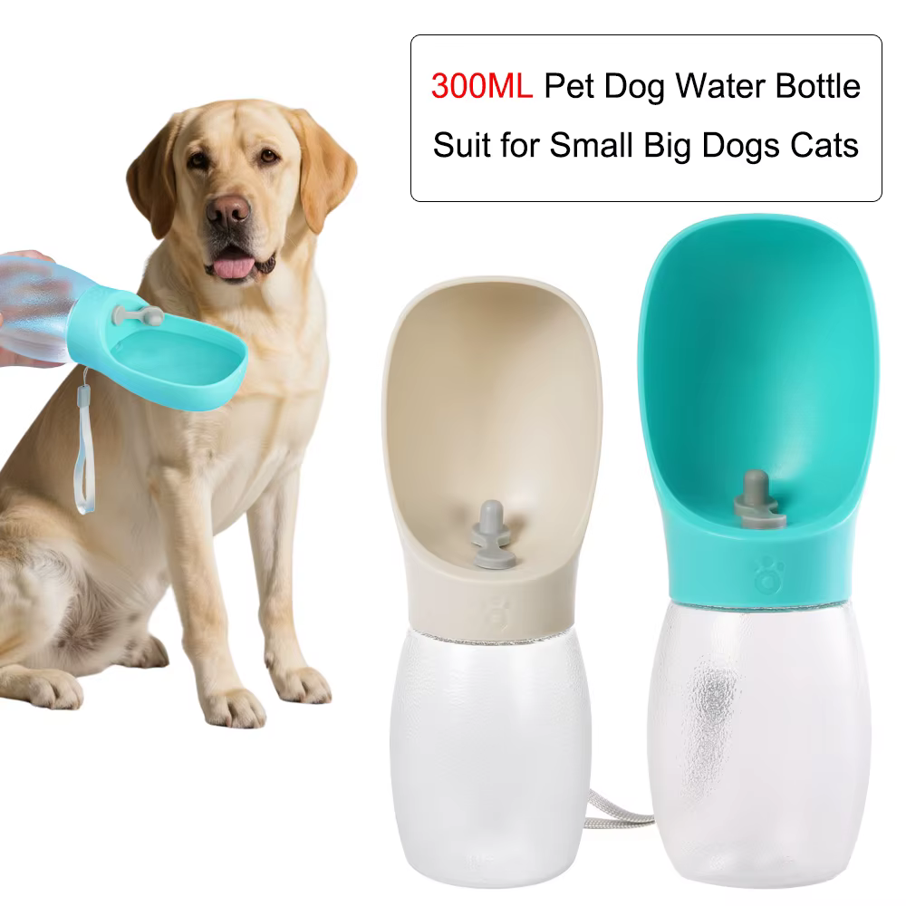 Bouteille d'eau pour chien de compagnie