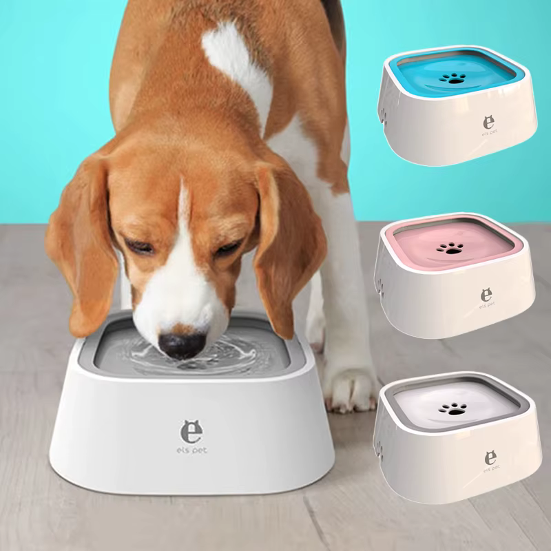 Bol d'eau potable pour chien
