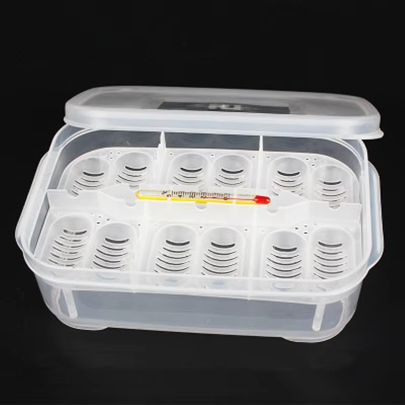 DIY Boîte d'incubation à 12 compartiments pour œufs de serpent