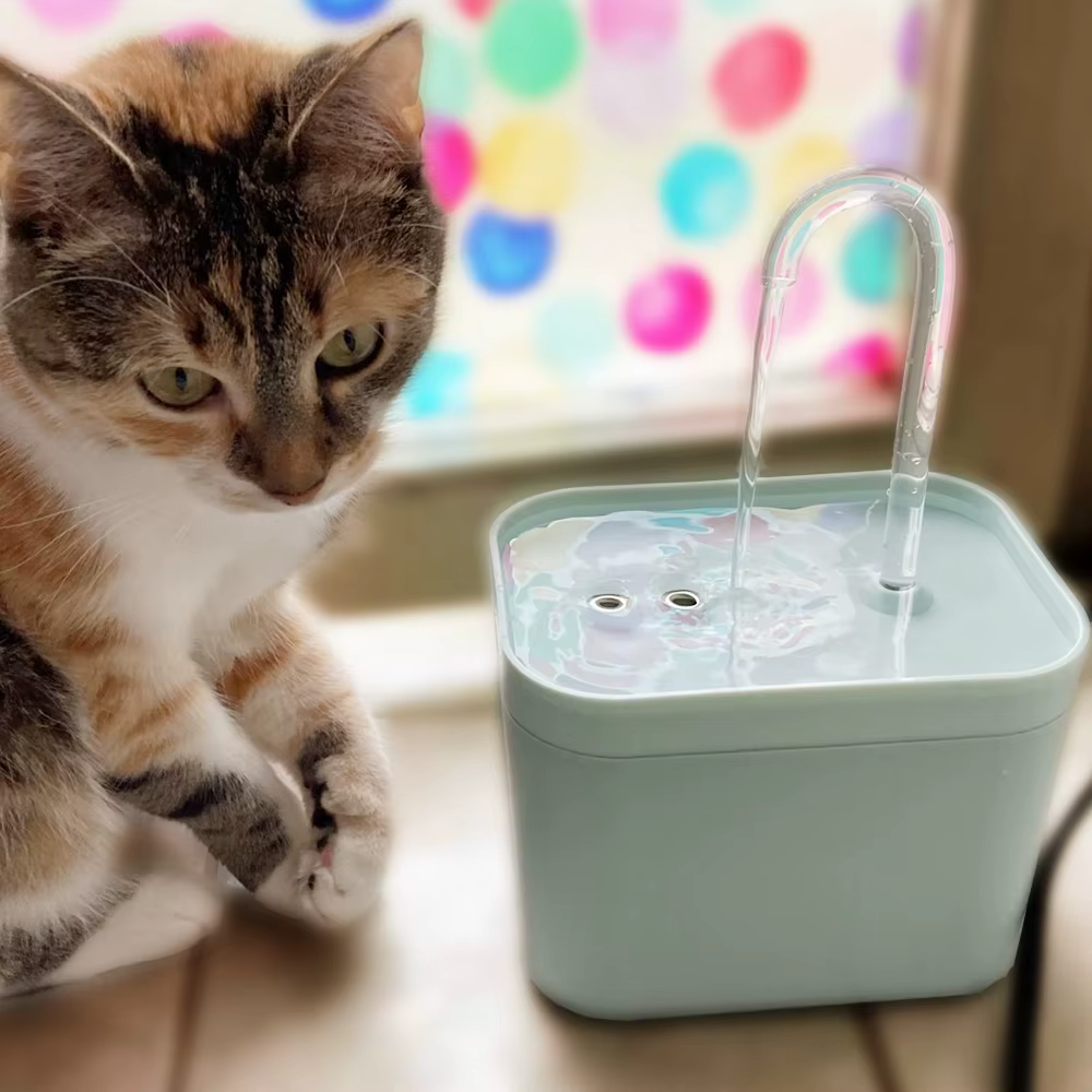 Fontaine d'eau électrique USB pour chat