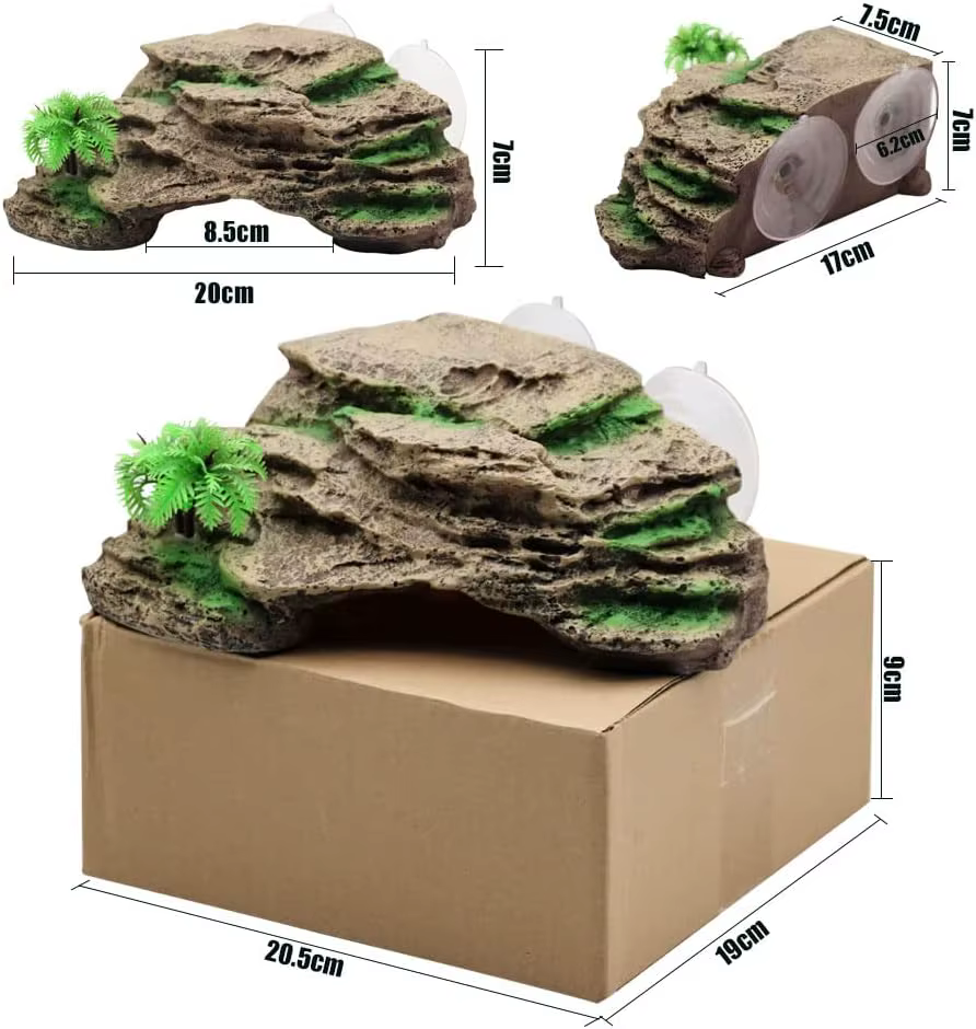 Plate-forme de se prélasser pour tortues