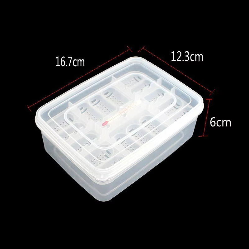 DIY Boîte d'incubation à 12 compartiments pour œufs de serpent