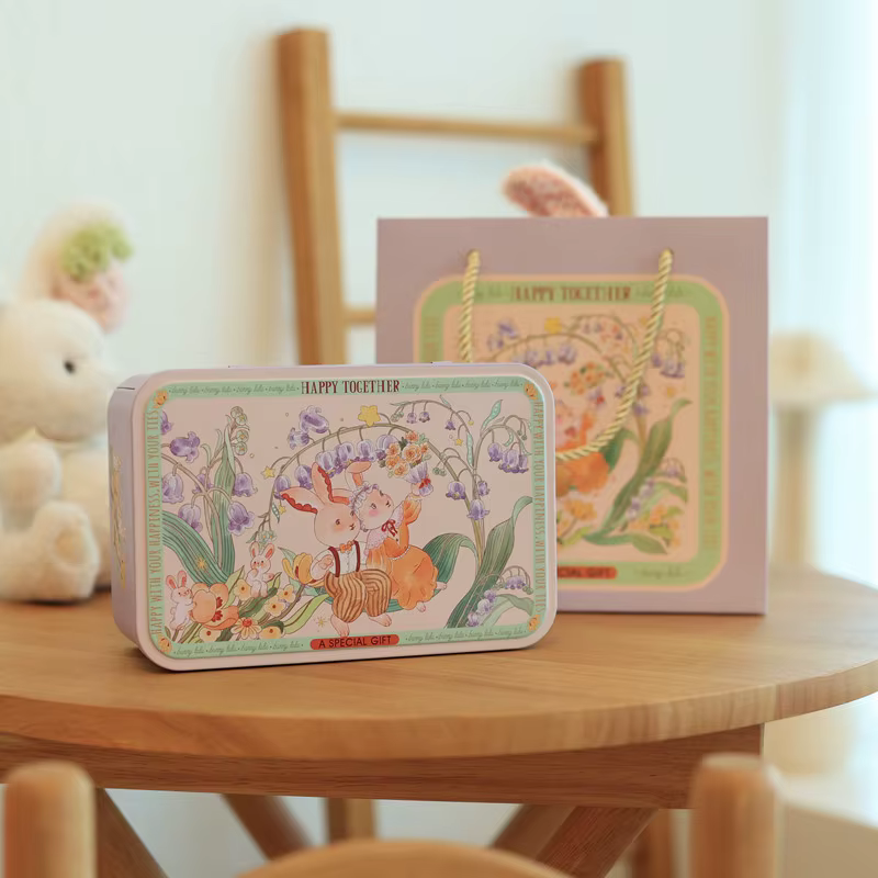 Grande boîte rectangulaire en fer blanc pour biscuits et oiseaux