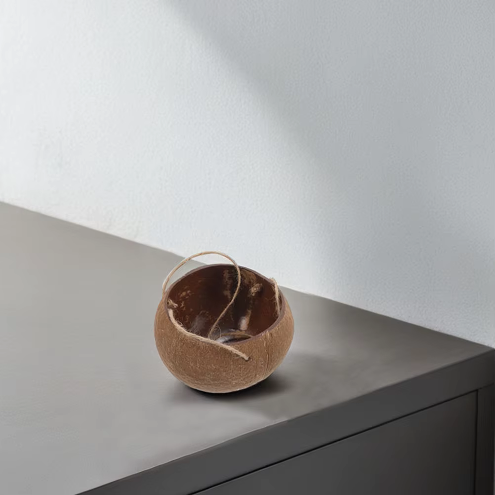 Jardinière suspendue en coquille de noix de coco, plantes d'intérieur, Pot de fleur de balcon, décoration de maison, multifonctionnelle, polyvalente, conception de corde robuste