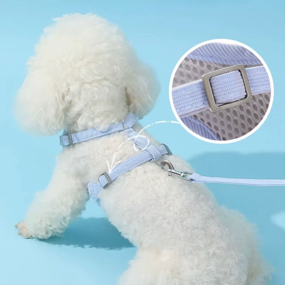 Harnais pour chien avec laisse de 1