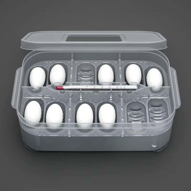 DIY Boîte d'incubation à 12 compartiments pour œufs de serpent