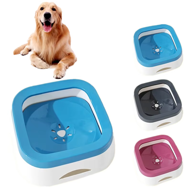 Bol d'eau anti-éclaboussures pour chiens